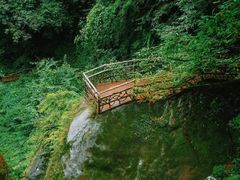 -碧峰峡风景区