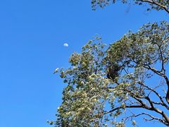 -天津东丽湖风景区