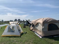 -春花秋色城市公园