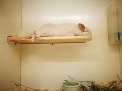 -龙猫仔乐园(惠福东路店)