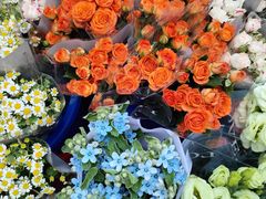 -循礼门鲜花花市(武汉循礼门店)