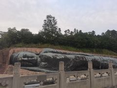 -三水森林公园