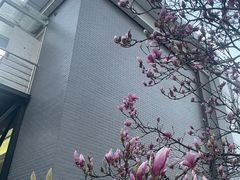 -北京航空航天大学-图书馆