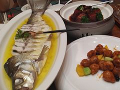 -鲁宴·鲁煨黄河生态大鲤鱼(月坛店)