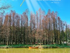 -森波拉火山温泉