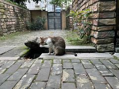 -湖南别院·美学庭院餐厅(惠阳店)