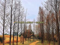-良渚古城遗址公园