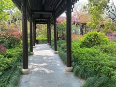 -杭州西子湖四季酒店-WL BISTRO西湖餐厅(灵隐路店)