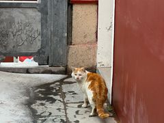 -长春观