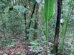 -海南热带野生动植物园