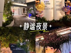 -西苑公园
