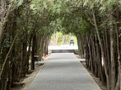-白塔山公园