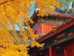 -承恩寺