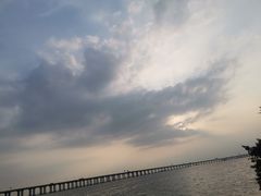 -宝安西湾红树林湿地公园