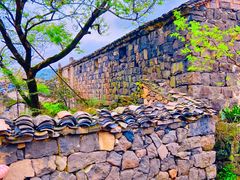 -桑洲油菜花景区