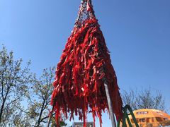 -帽儿山国家森林公园