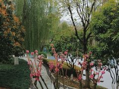 -后襄河公园