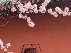 -桃花堤公园
