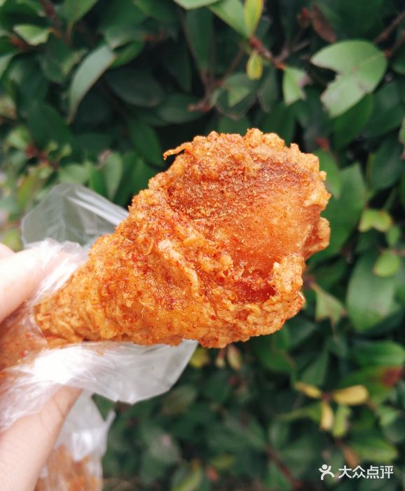 闵记炸鸡(湖西街店)油炸鸡腿图片 - 第1张