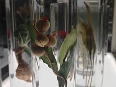 -北京中医药大学-中医药博物馆