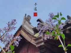 -平遥古城