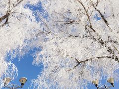 -中旅松花湖滑雪场
