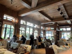 -一棵树·意大利西餐厅One Tree(新城店)