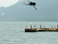 -滇池海埂公园