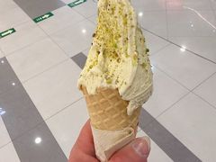 -野人先生Gelato(上海长宁龙之梦店)