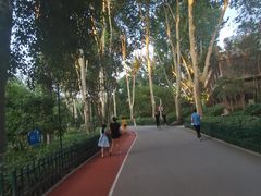 -西安市长乐公园