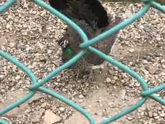 -南京金牛湖风景区