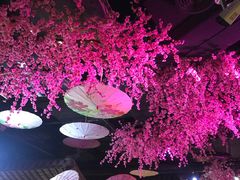 -韵秋荷(宝山龙湖天街店)