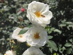 -人民公园(罗湖区)