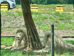 -秦皇岛野生动物园