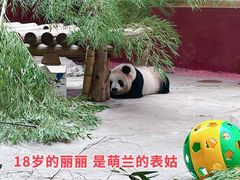 -杭州野生动物世界