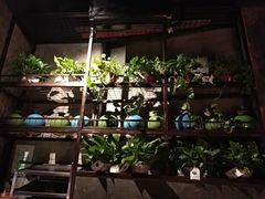 -0048鲜活香辣虾·火锅(铜陵路店)