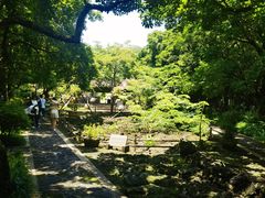 -海口火山口国家地质公园