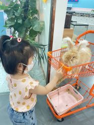 -Moni星球萌宠·小马宝莉·灵蛇·高端高阶全萌宠互动体验俱乐部(红豆国际广场店)