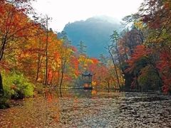 -黎坪国家森林公园