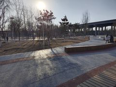 -丁香湖公园