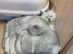 -南京时尚莱迪购物广场(正洪街店)