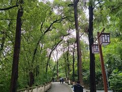 -忠山公园