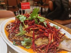 -杨氏青龙虾·羊蝎子(珠江路店)
