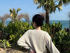 -大梅沙海滨公园