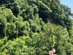 -洛阳白云山景区