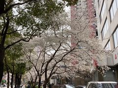 -玛格萝妮比萨屋(四平店)