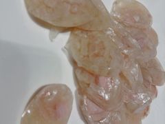 -东方饺子王臻味餐厅(新嘉坡城店)