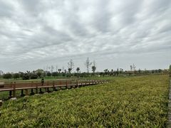 -汉长安城未央宫国家考古遗址公园