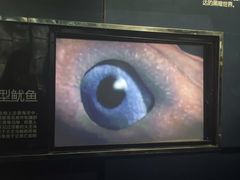 -同济大学四平路校区深海探索馆