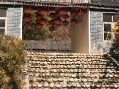 -大连天门山国家森林公园